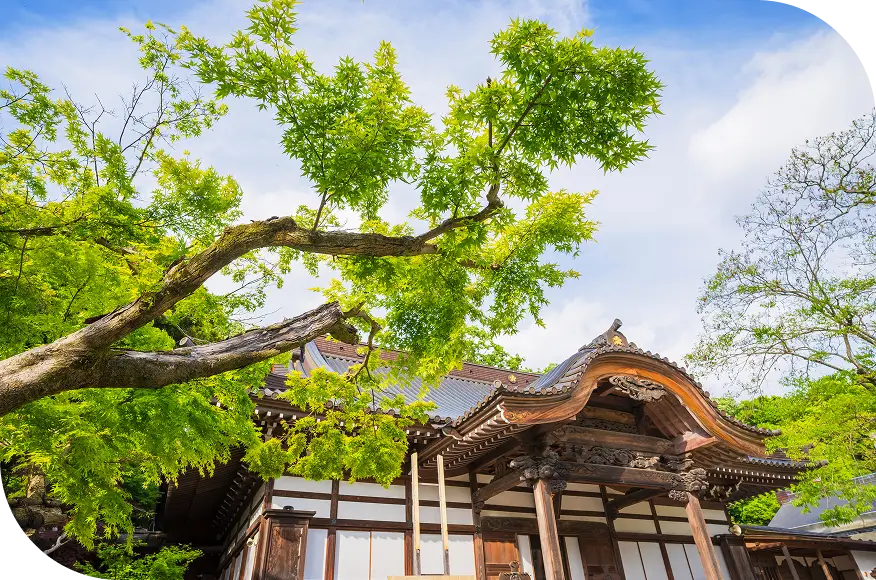 日本庭園